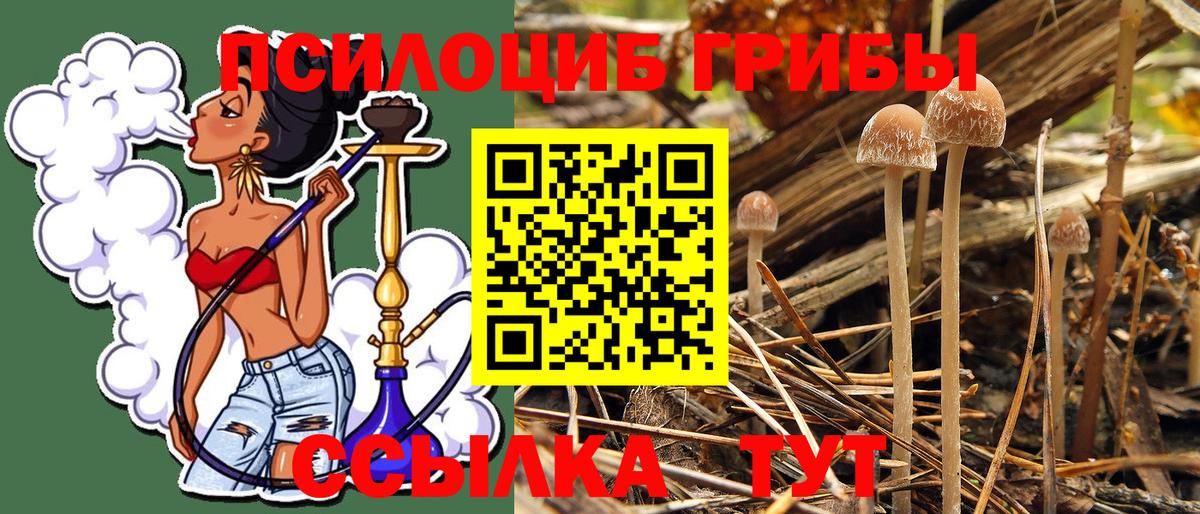 Галлюциногенные грибы MAGIC MUSHROOMS  Псилоцибиновые грибы Magic Shrooms  Вход с VPN  Невинномысск 