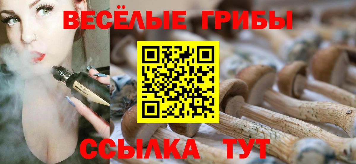 Псилоцибиновые грибы GOLDEN TEACHER Невинномысск